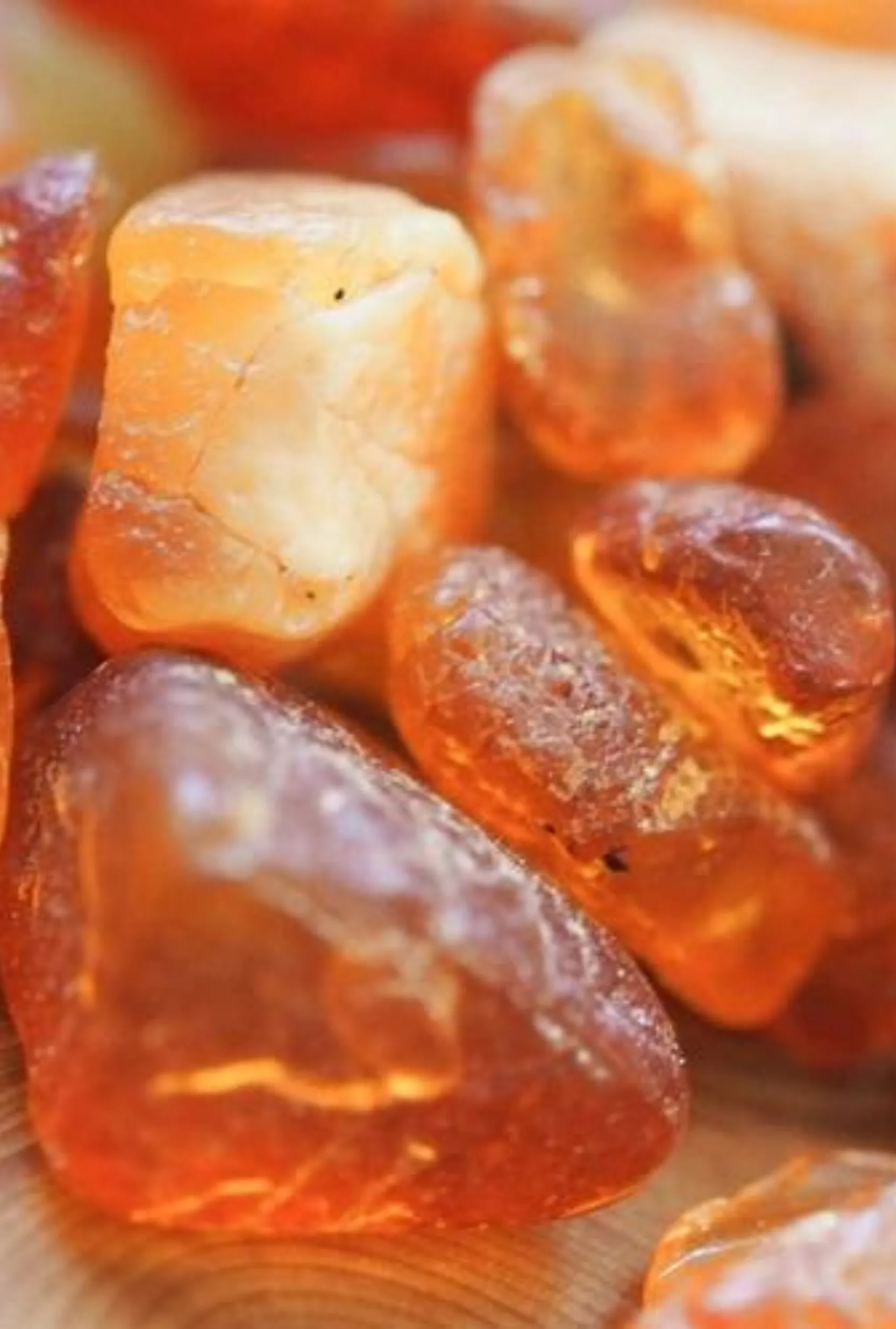 Egyptian Amber: Jasmine   Leather   Amber