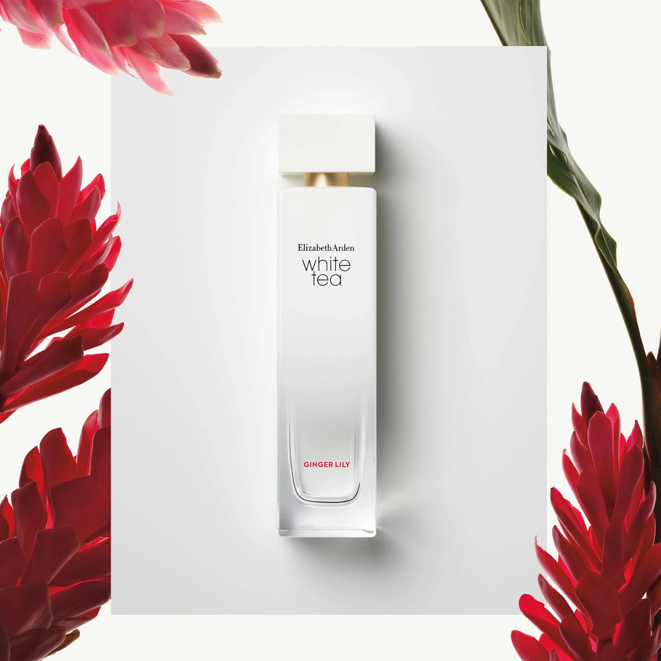 ELIZABETH ARDEN White Tea GINGER LILY EDT 100ml