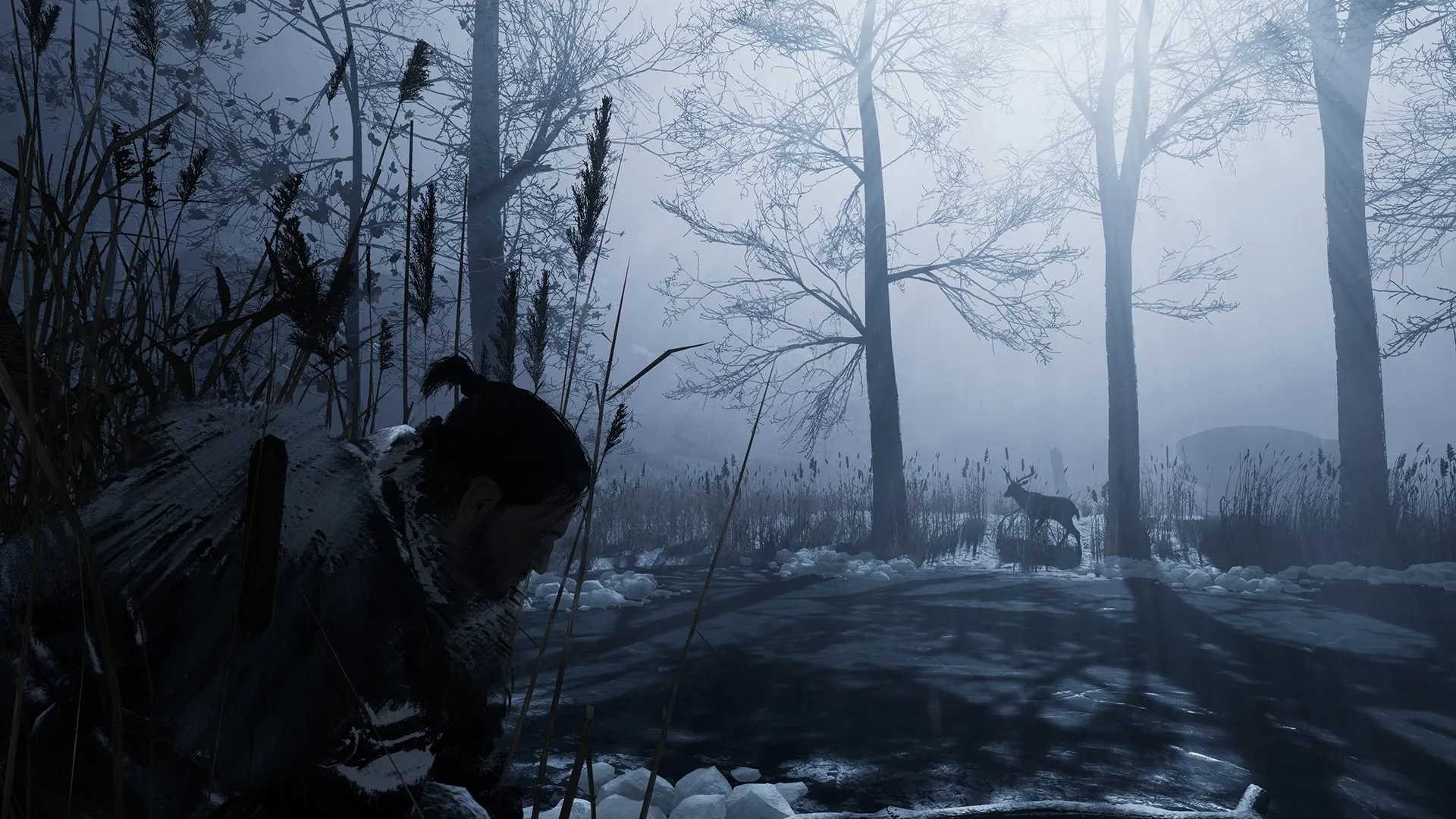 Fade to Silence (PC)