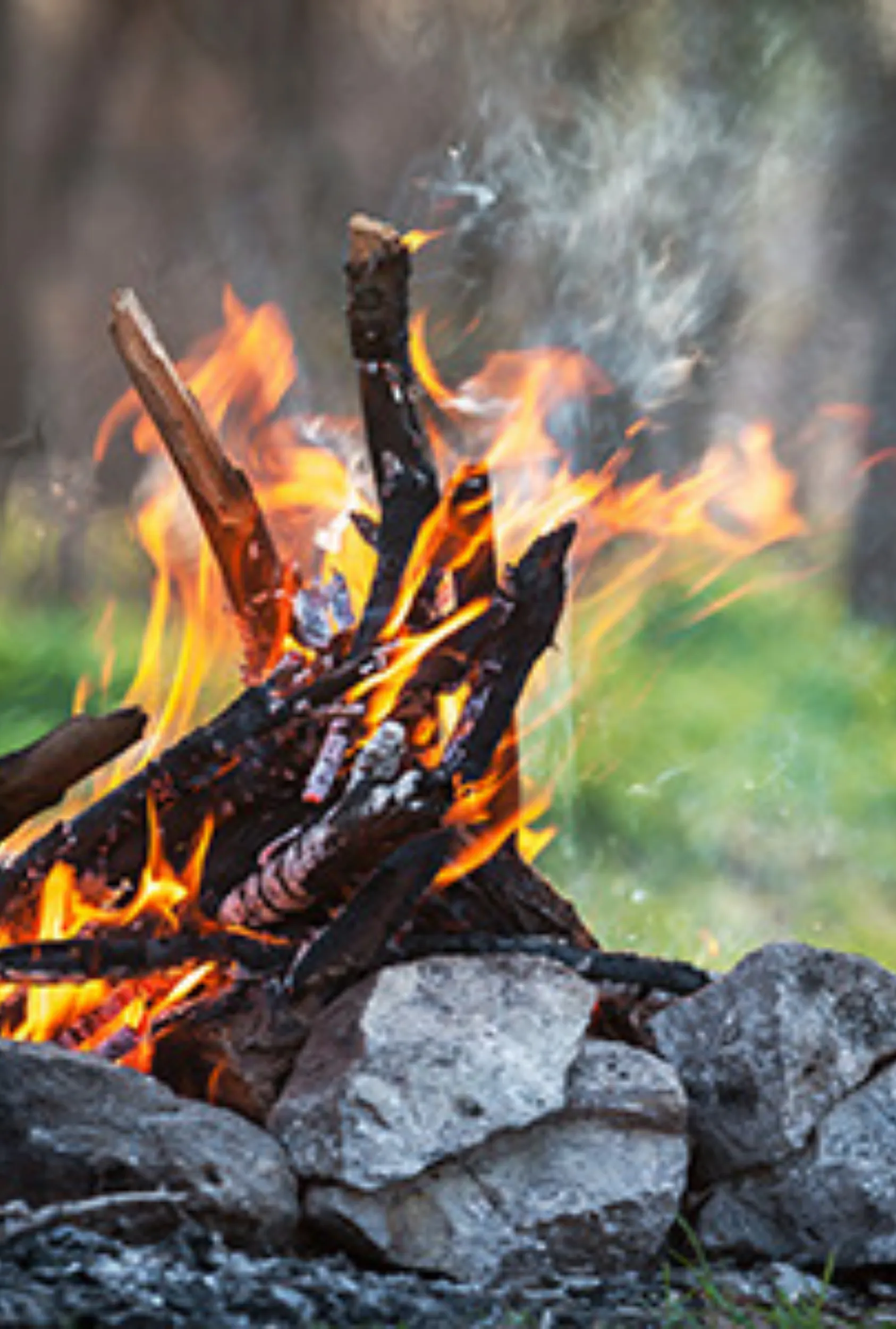 Fireside Chats: Maple   Moss   Smoke