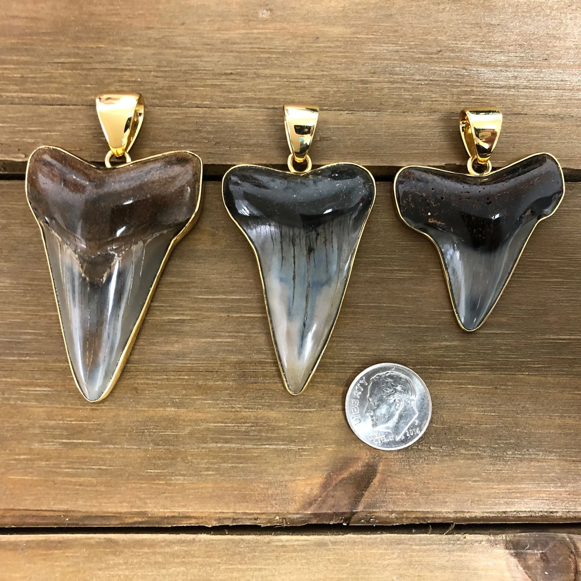 Fossil Shark Tooth Pendant