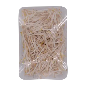 Fresh Beansprout 300g