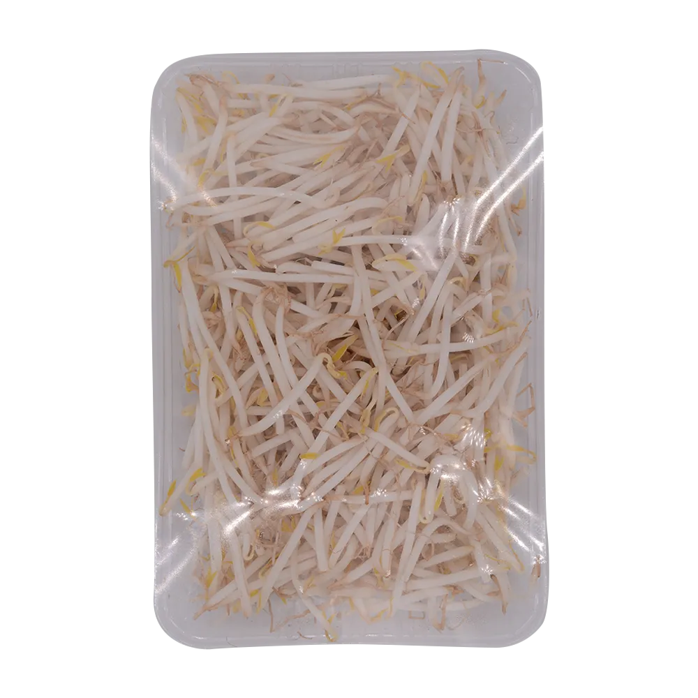 Fresh Beansprout 300g