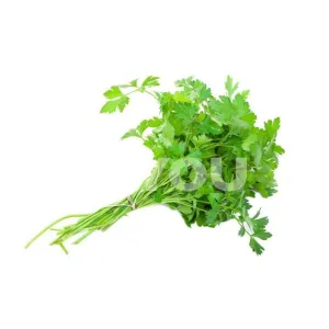 Fresh Coriander (Bunch) ~ 新鮮香菜 (束)