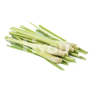 Fresh Lemongrass 100g ~ 新鮮香茅 100g