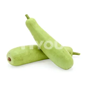 Fresh Long Dudhi ~ 新鮮葫蘆瓜