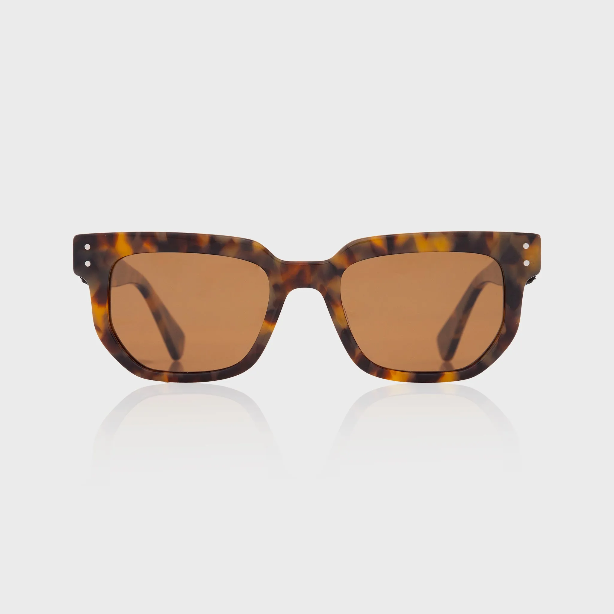 Glastonbury Sunglasses - Tortoise