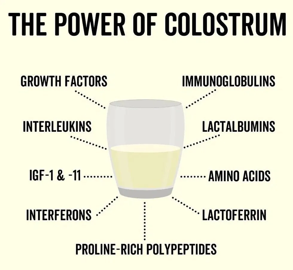 Grass Fed Pure Colostrum Capsules - 160 Capsules