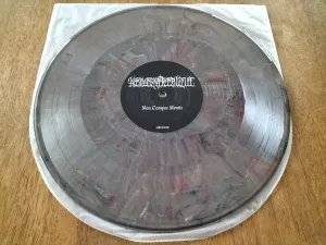 HEBEPHRENIQUE (AUS) - Non Compos Mentis 12" EP