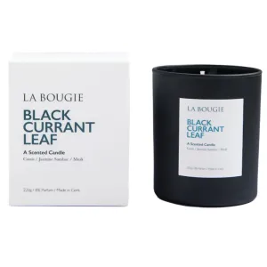 La Bougie - Black Current Leaf Candle