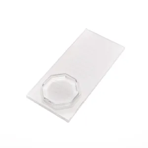 Lash Plate with Octagonal Crystal Platform