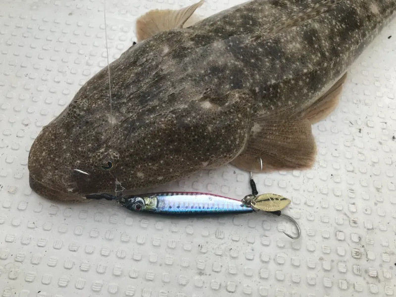 LITTLE JACK Metal Jig METAL ADICT01 80g