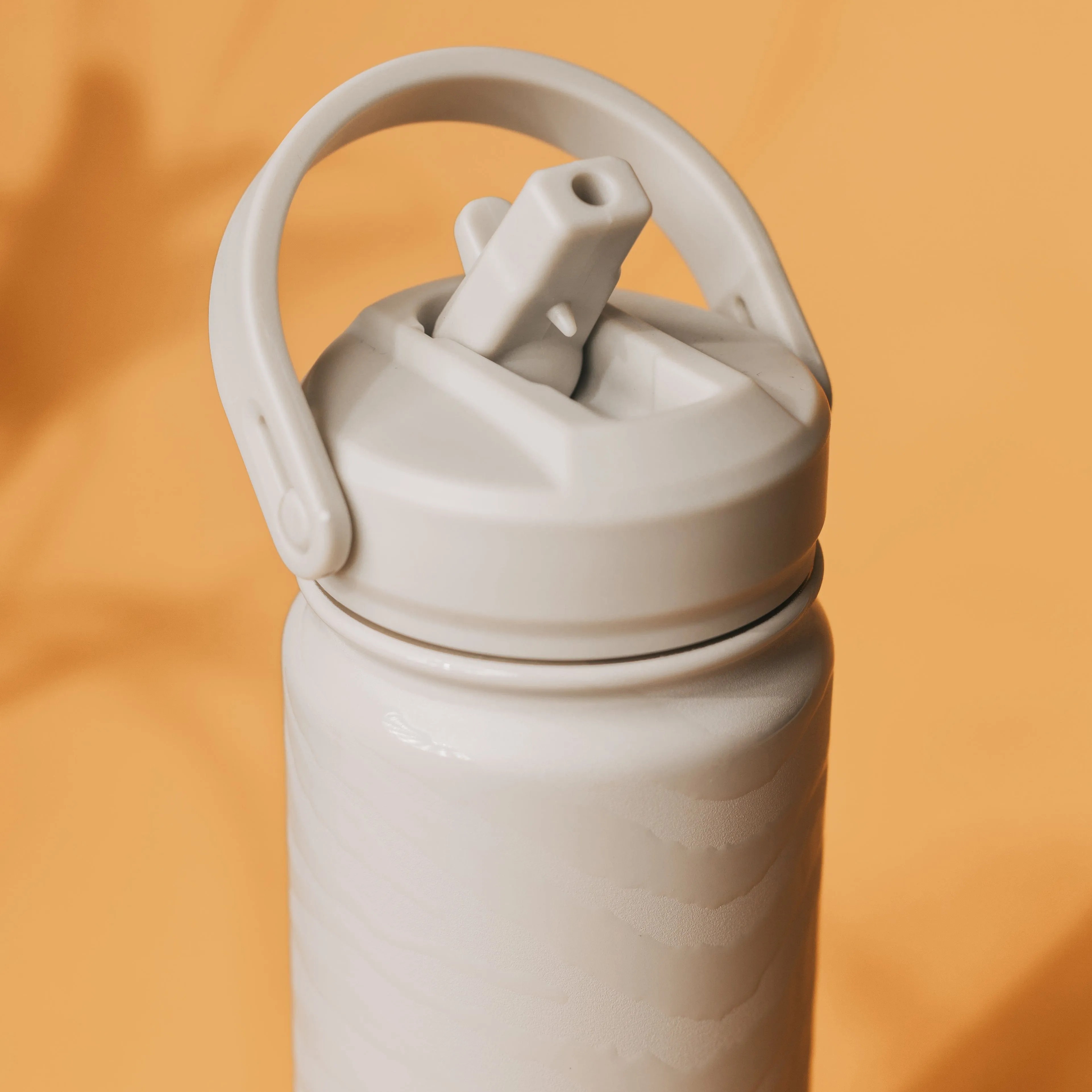 Lizzard Printed Flask 530Ml