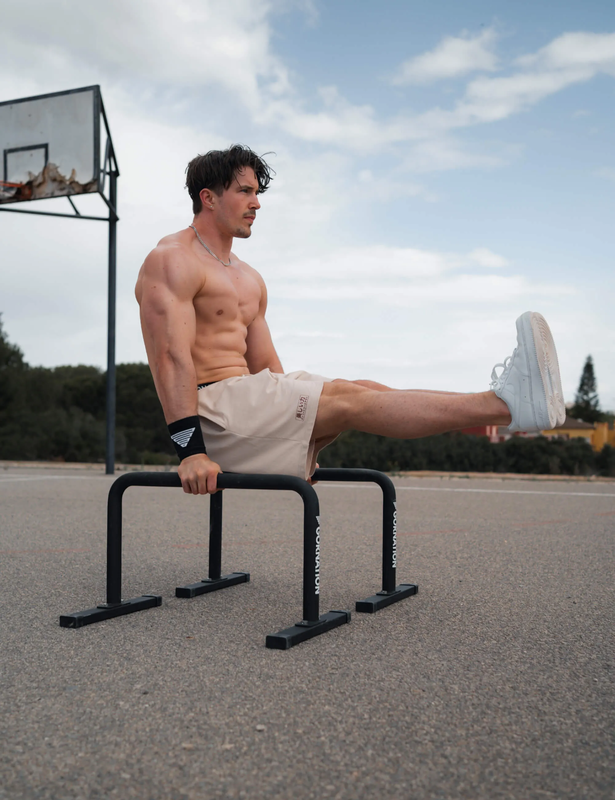 Metal Parallettes