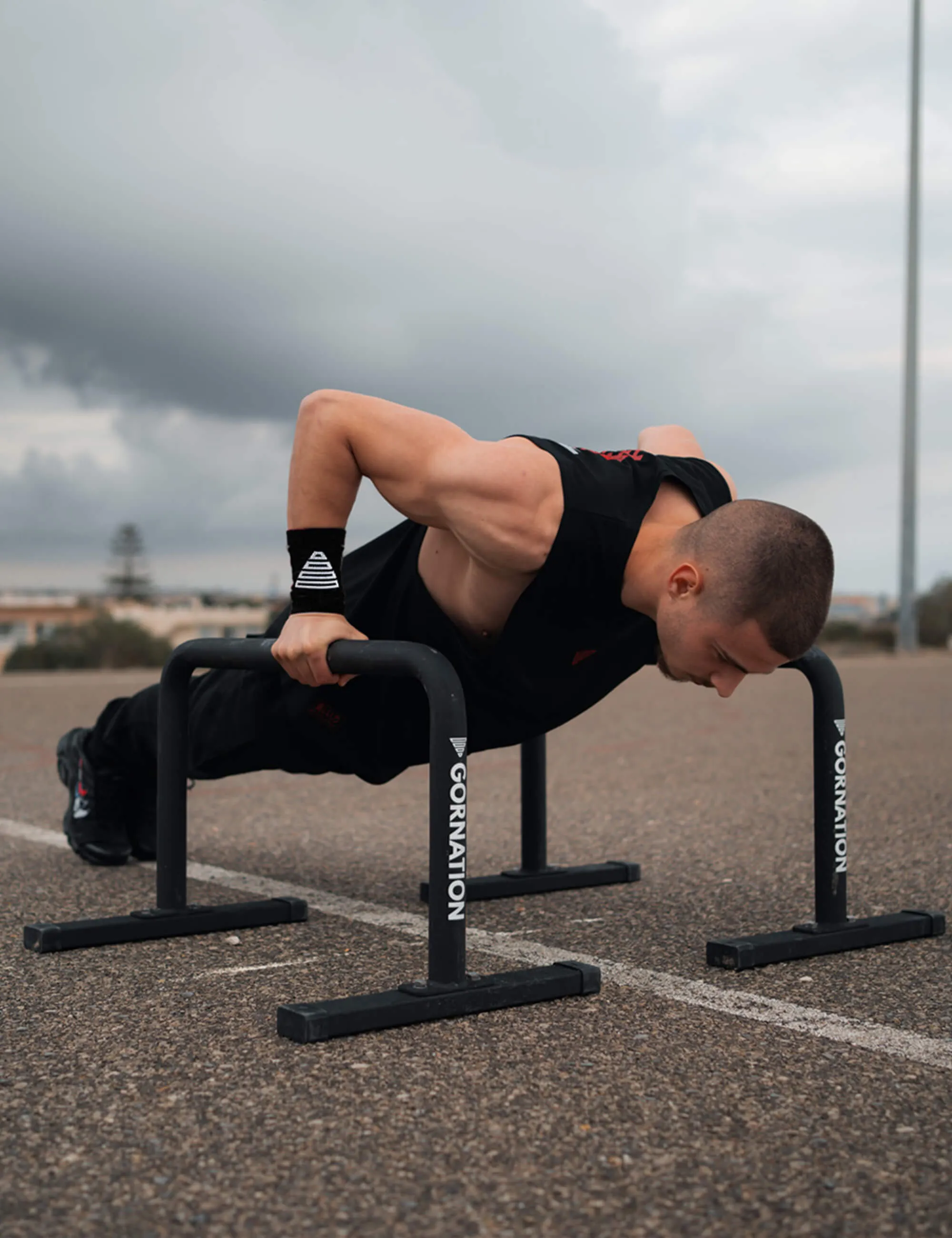 Metal Parallettes