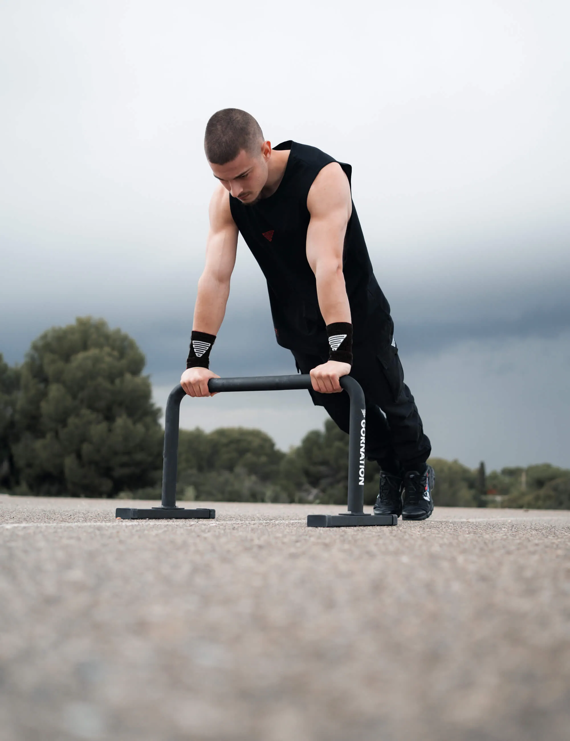 Metal Parallettes