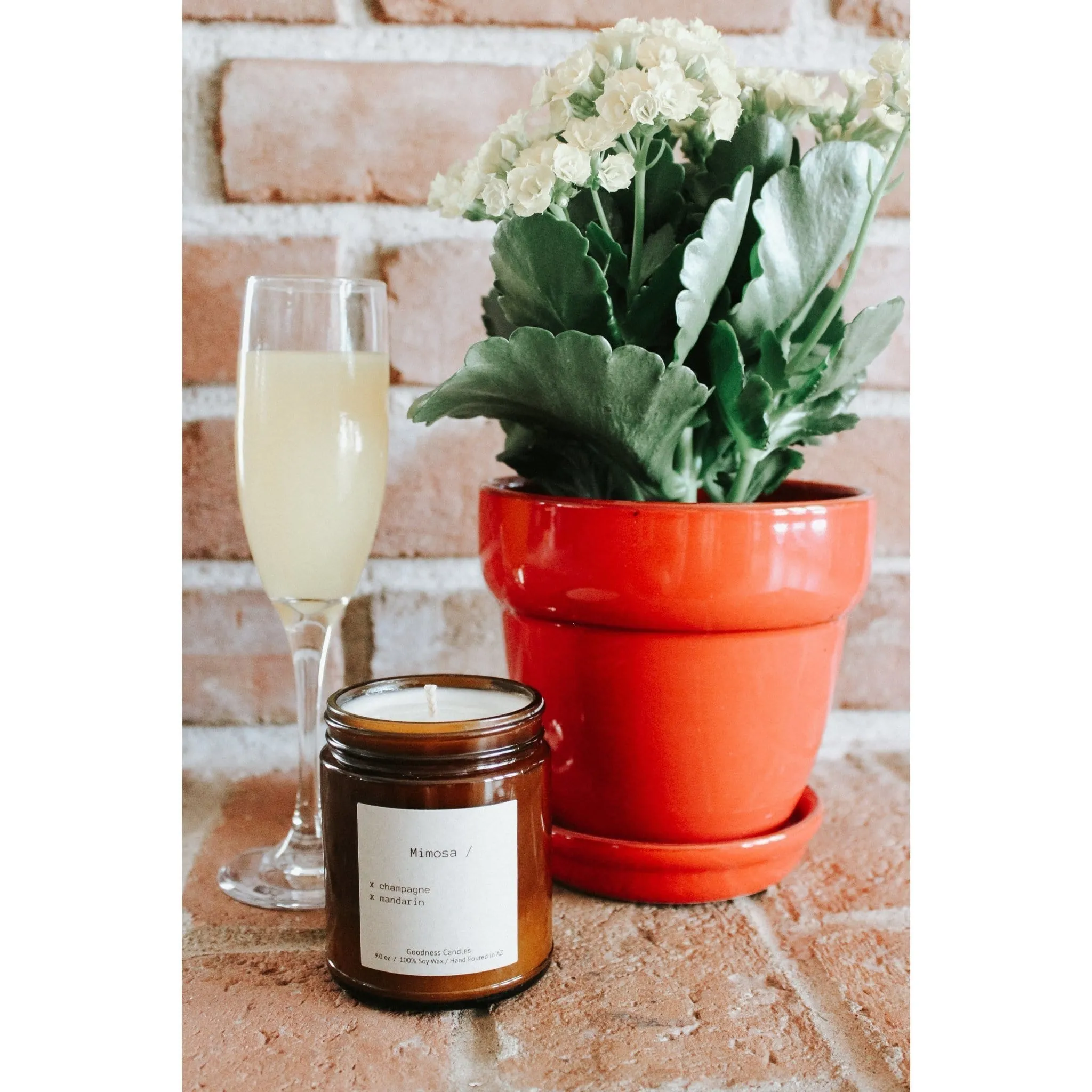 Mimosa 9oz