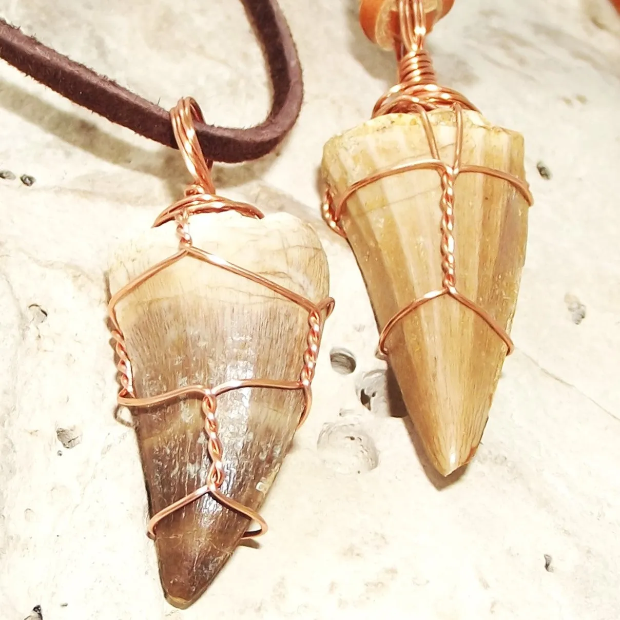 Mosasauras Tooth (66 - 82 Million Years Old) Necklace