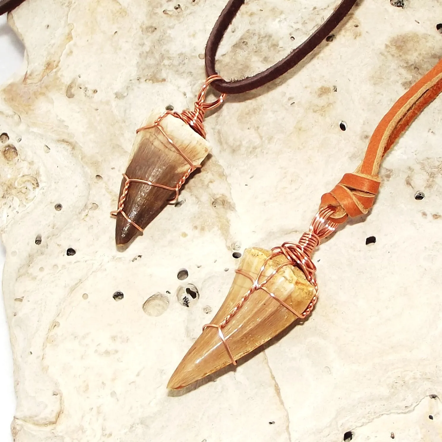 Mosasauras Tooth (66 - 82 Million Years Old) Necklace