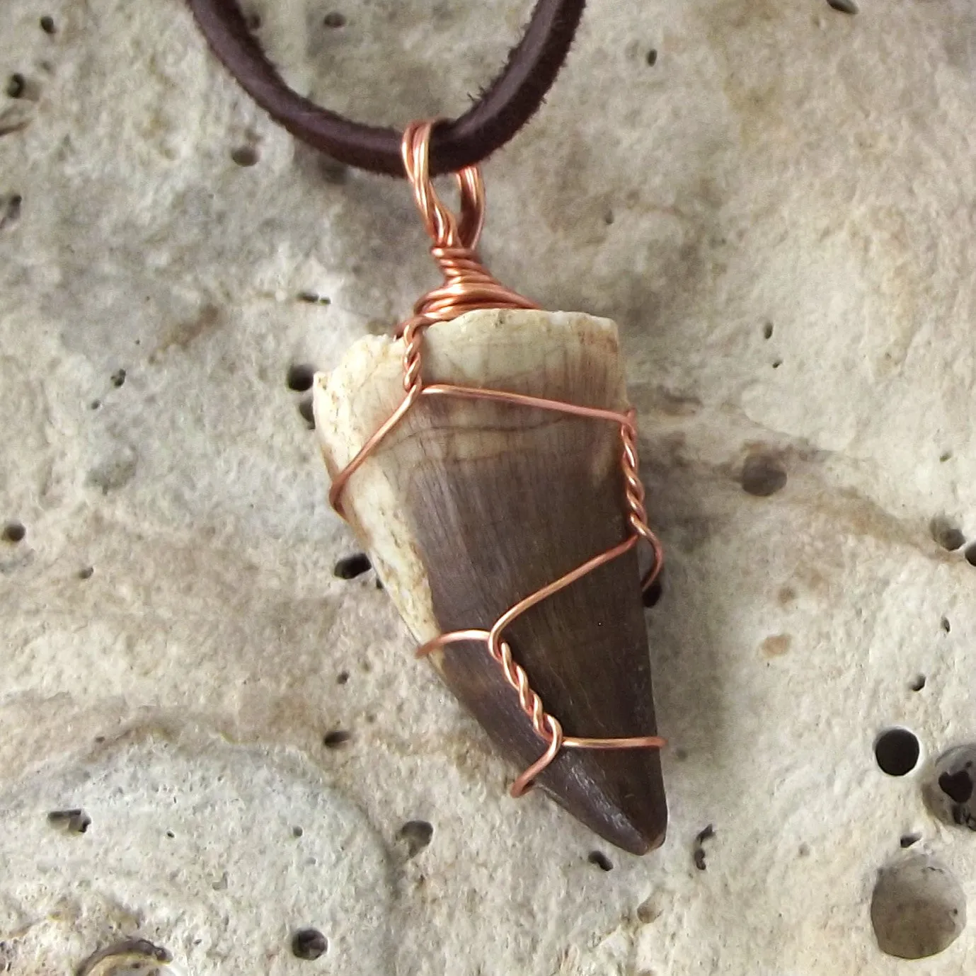Mosasauras Tooth (66 - 82 Million Years Old) Necklace