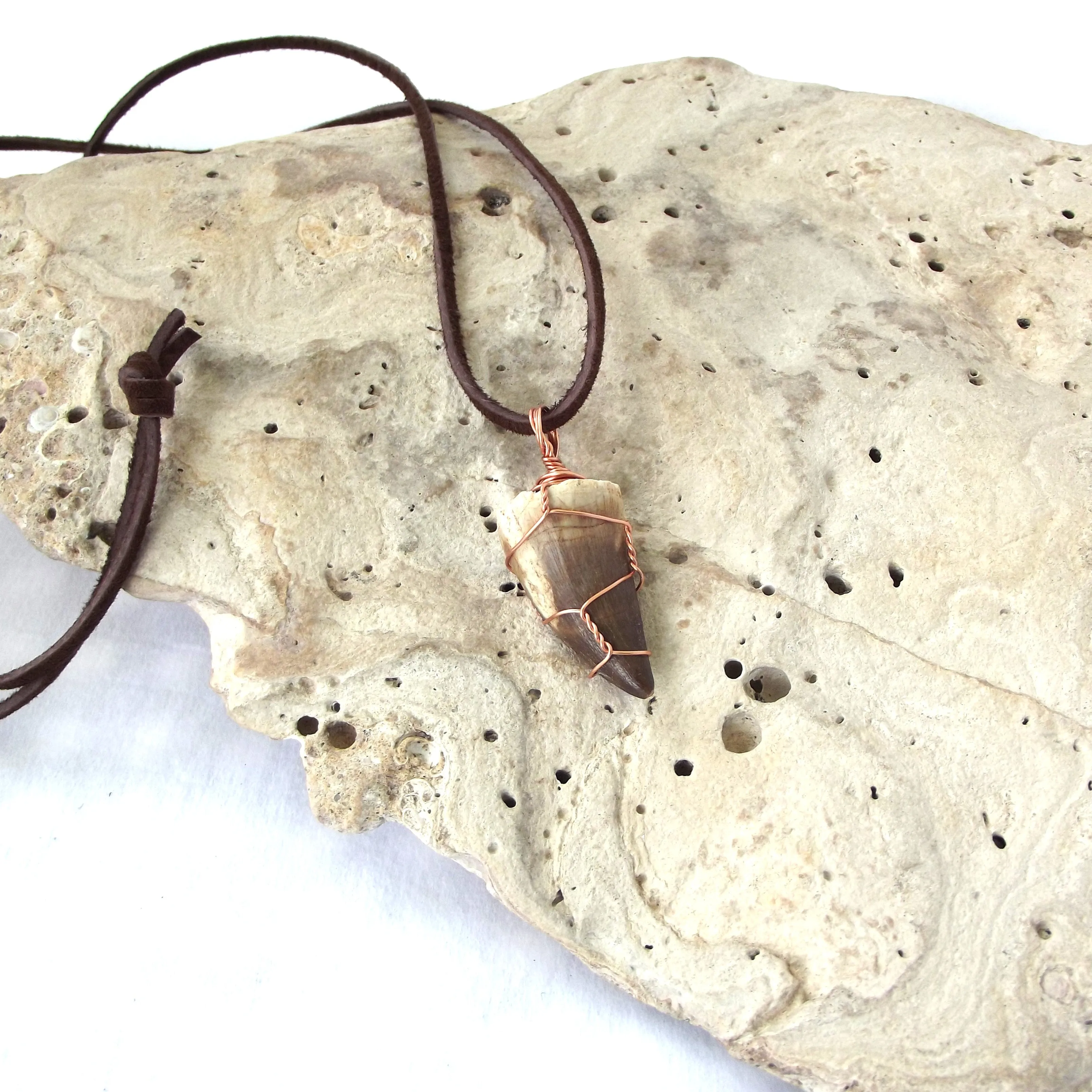Mosasauras Tooth (66 - 82 Million Years Old) Necklace
