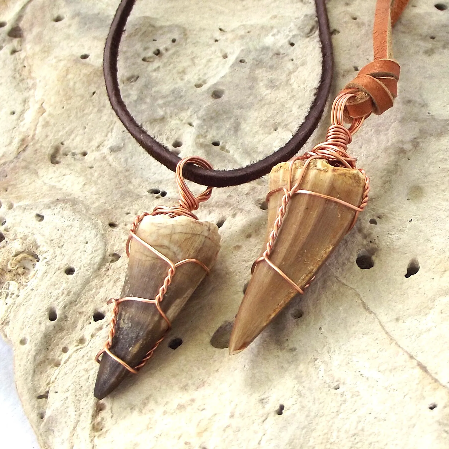 Mosasauras Tooth (66 - 82 Million Years Old) Necklace