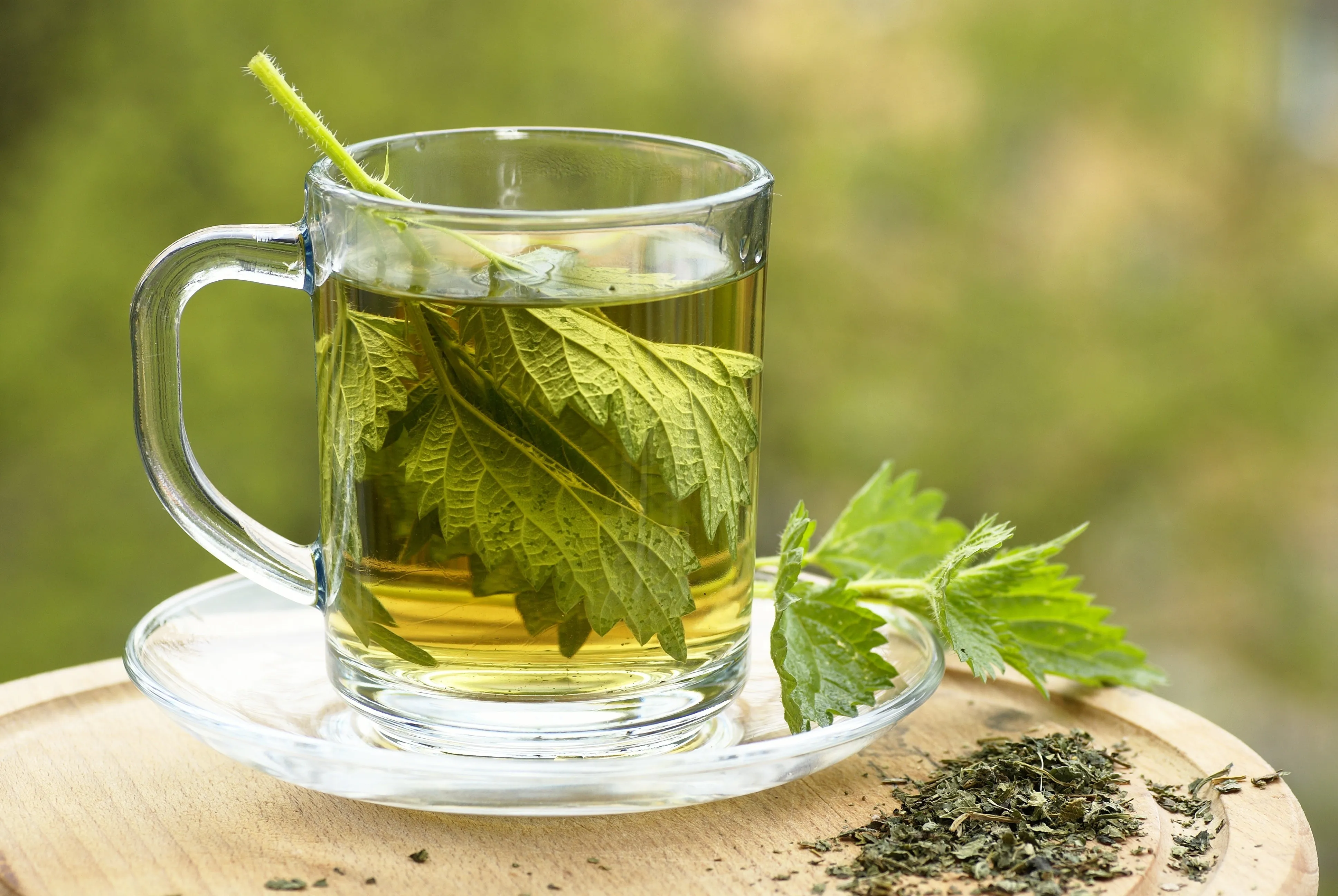 Nettle Leaf - Cut & Sifted