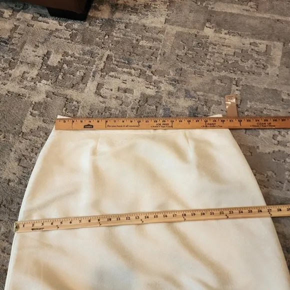 NWT i.e woman ivory mesh skirt