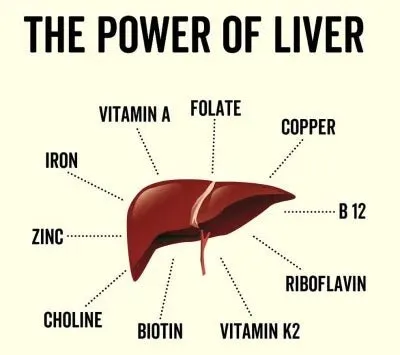 Organic Lamb Liver Capsules - 160 Capsules