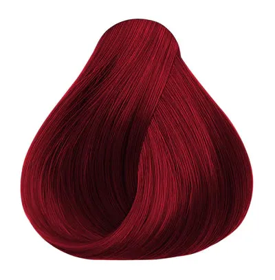OYA Wild Dynamite / 3.17 oz.