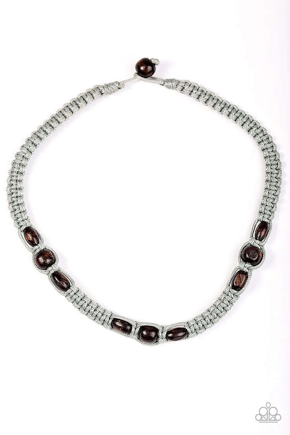 Paparazzi - PIER Review - Silver Necklace