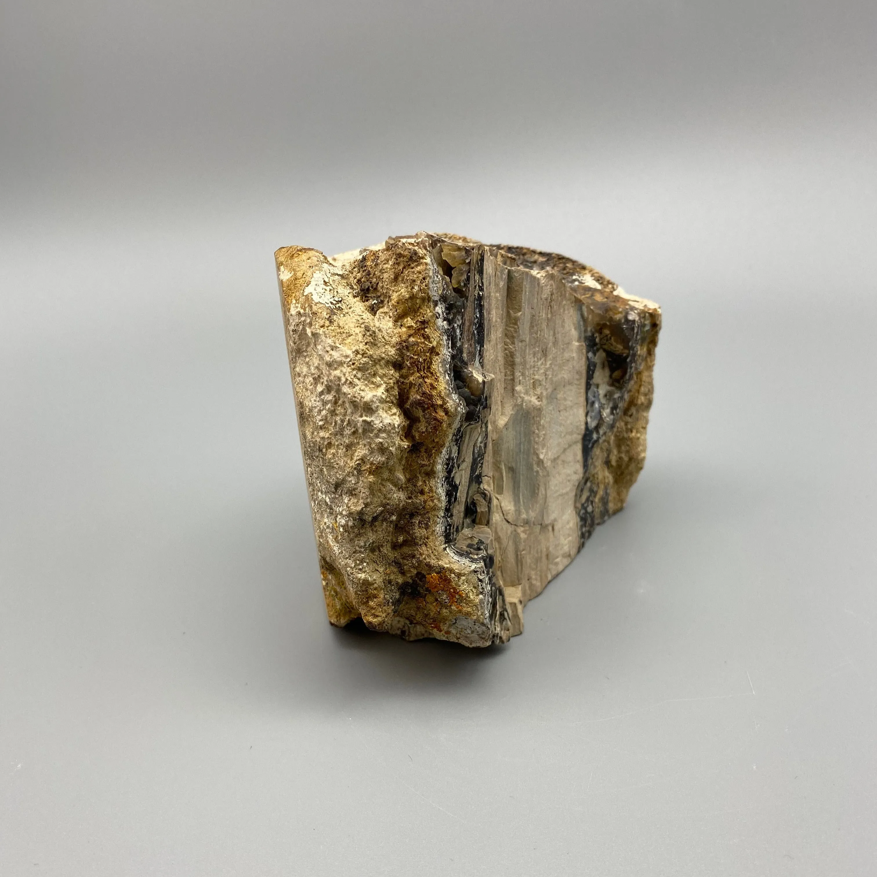 PETRIFIED WOOD CHUNK