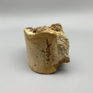 PETRIFIED WOOD CHUNK
