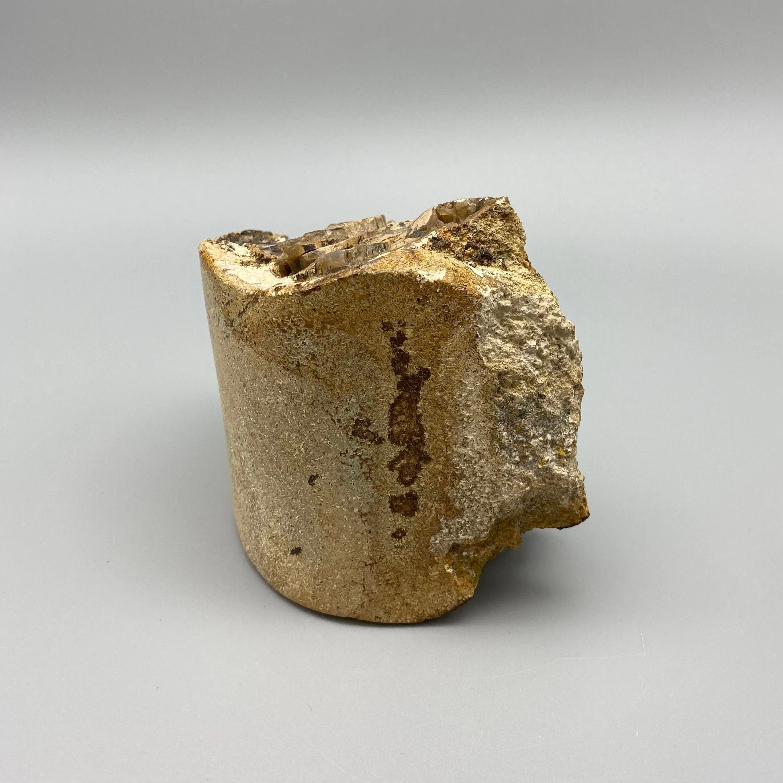 PETRIFIED WOOD CHUNK