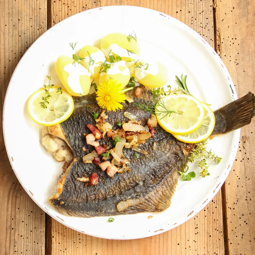 Plaice