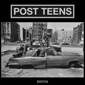 Post Teens "Exitos" LP