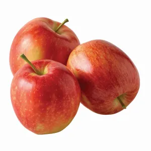 Produce Gala Apples 12 In A Bag