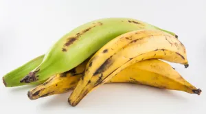 Produce Plantains