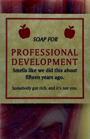 Professional Development