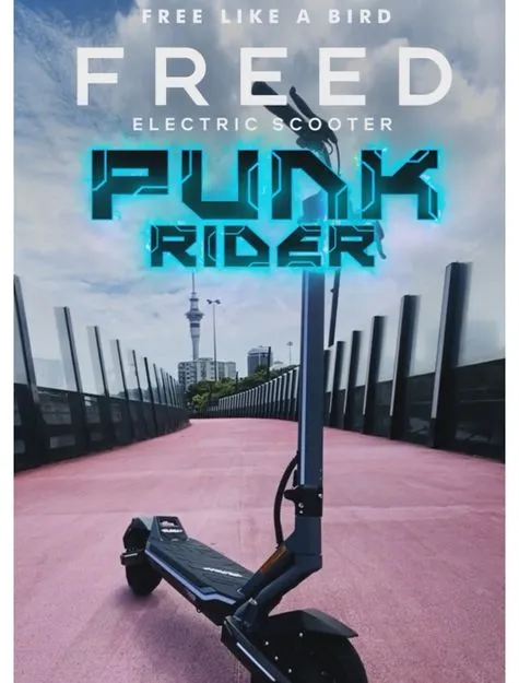 Punk Rider Pro -18ah
