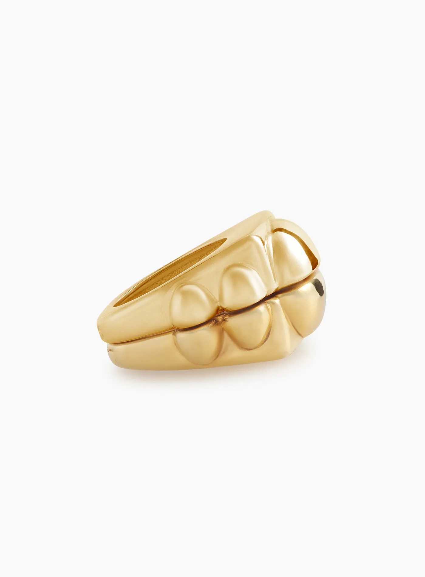 "Best Of Both Worlds" Gold Ring