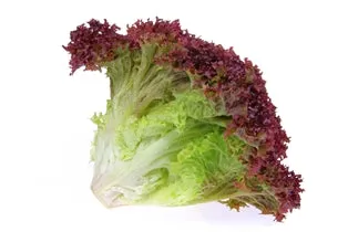 Red Leaf Lettuce- Local