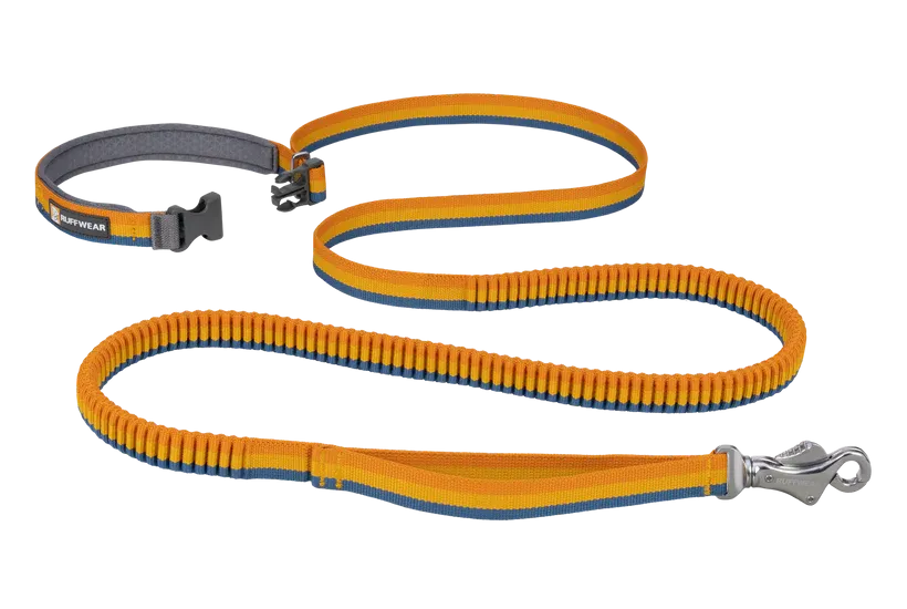 Ruffwear Roamer Leash
