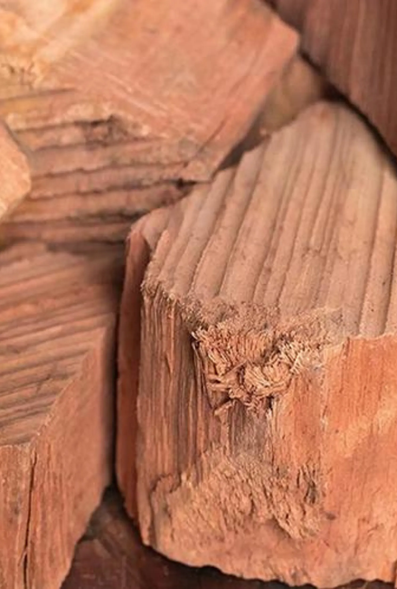 Sandalwood: Coriander   Amyris   Dark Musk