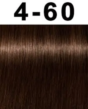 Schwarzkopf professional igora royal absolutes fashion & coverage permanent color creme 4-60 medium brown