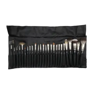 Scotty's Professional 26p Brush Set