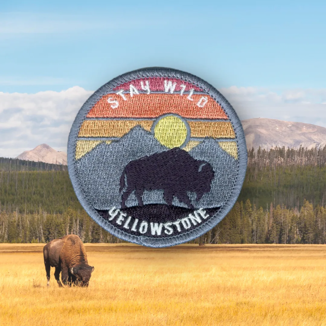 Stay Wild Yellowstone