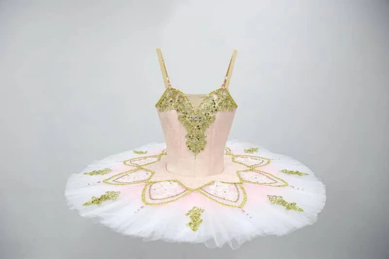 The Enchanted Princess