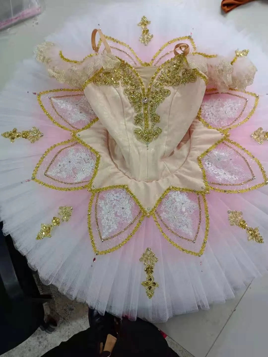 The Enchanted Princess