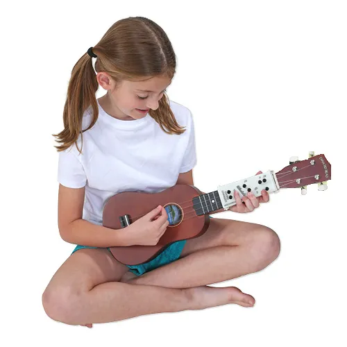Ukulele Chord Changer Device or Device   Song Book